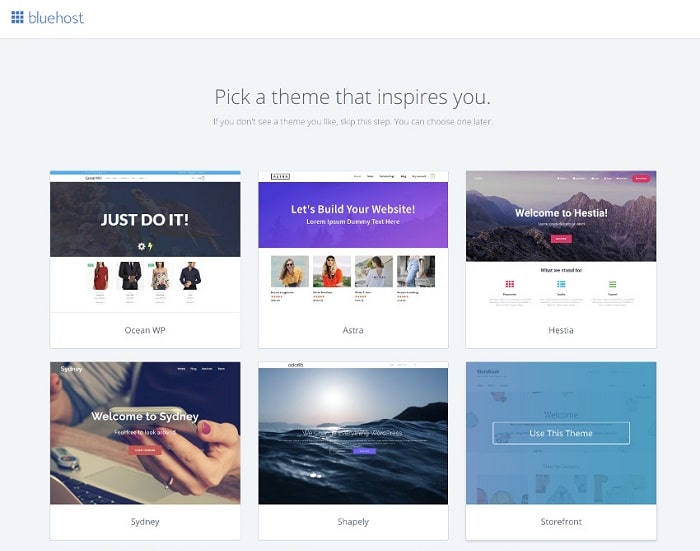 bluehost pick theme